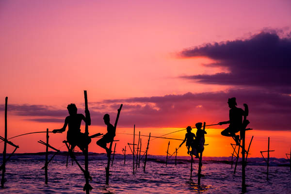 Sri Lanka from 775€